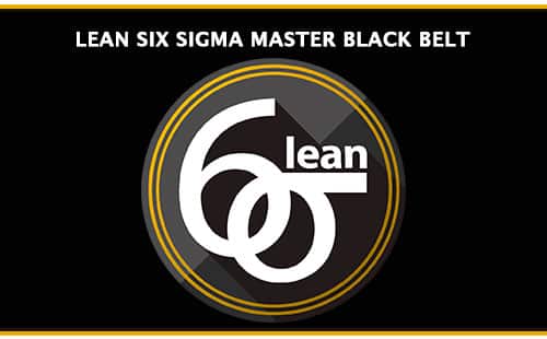 Lean Six Sigma Black Belt